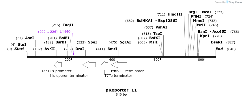 106363_map