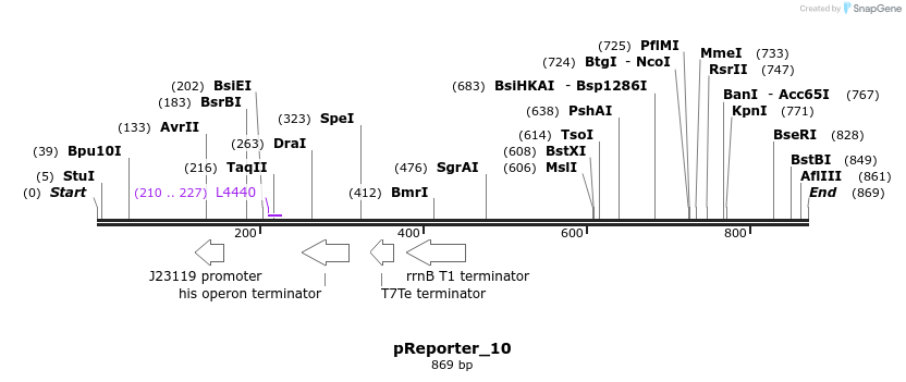 106368_map