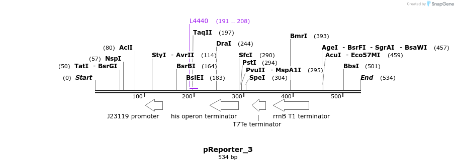 106371_map