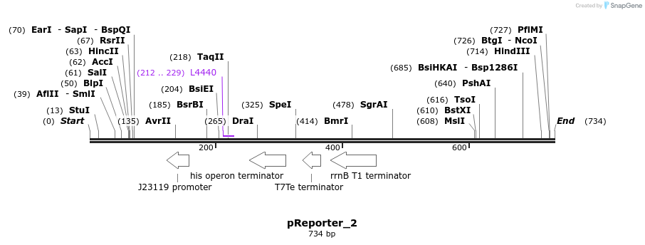 106373_map