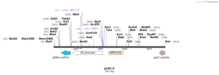 106374_map