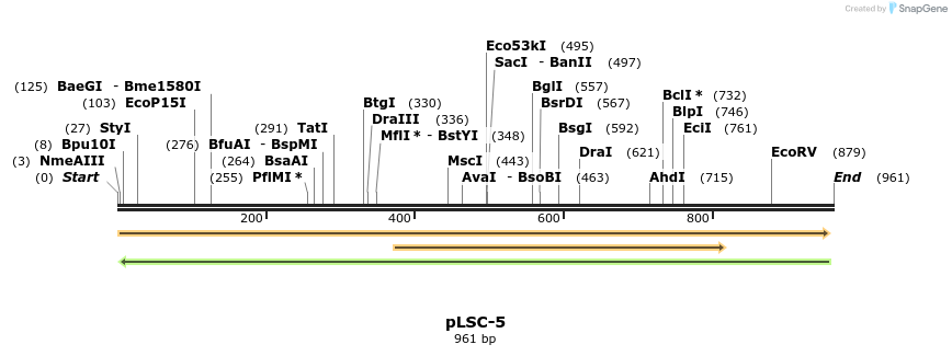 106377_map