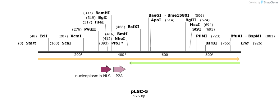 106380_map