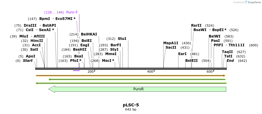 106382_map
