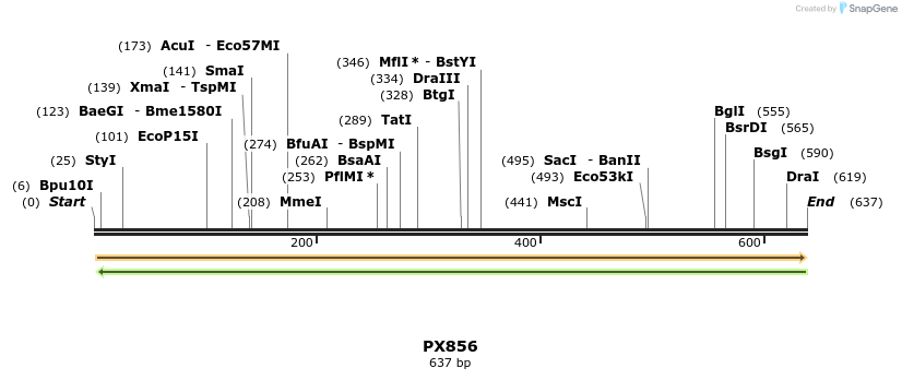 106384_map