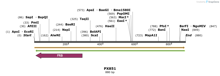 106386_map
