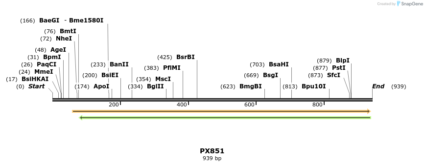 106387_map