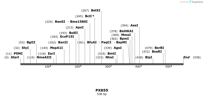106393_map