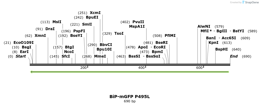 106397_map
