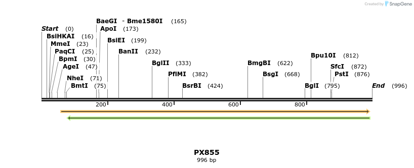 106398_map