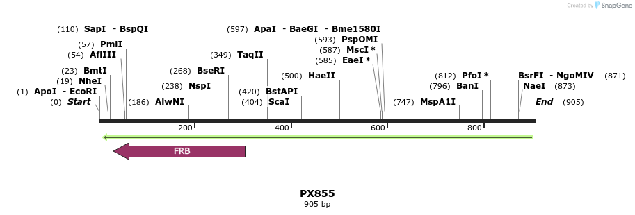 106400_map