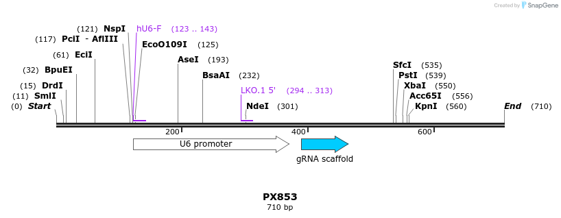 106401_map
