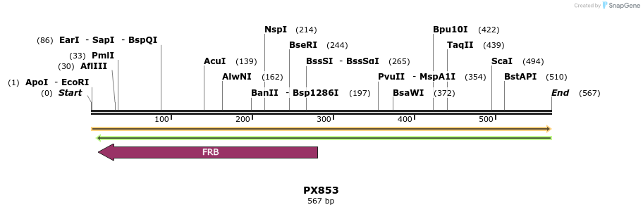 106402_map