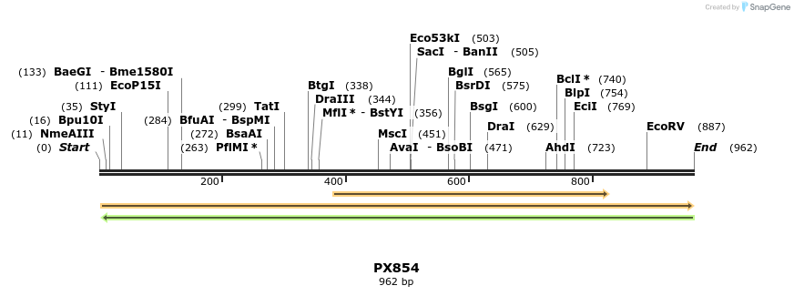 106404_map
