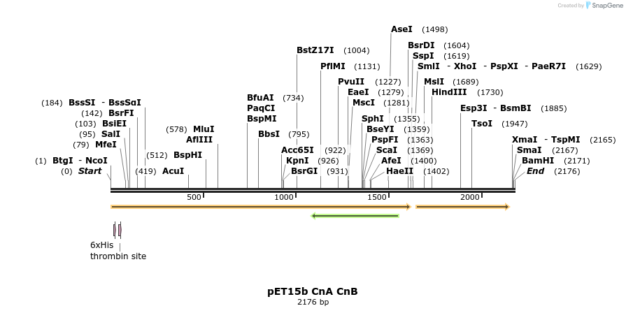 106406_map