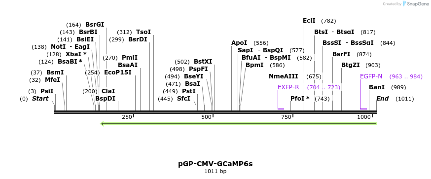 106414_map