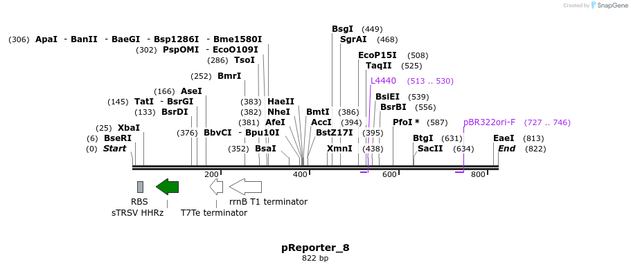 106419_map