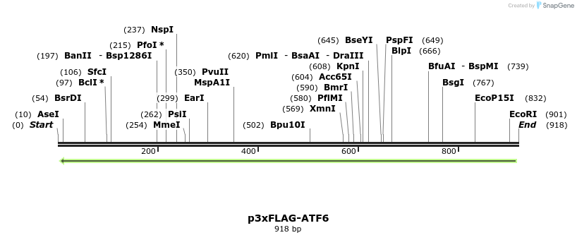 106423_map