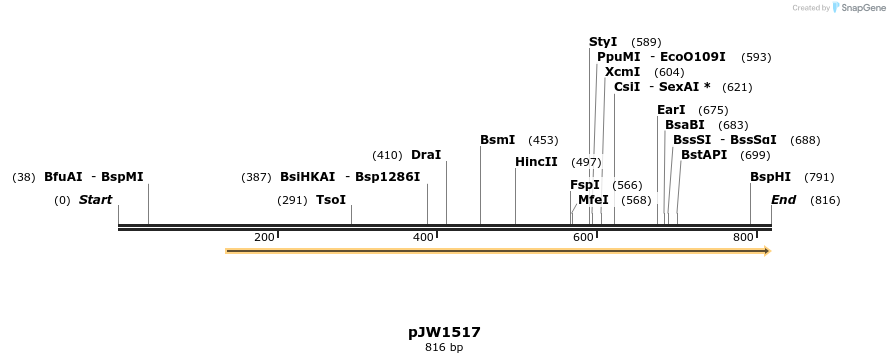 106431_map
