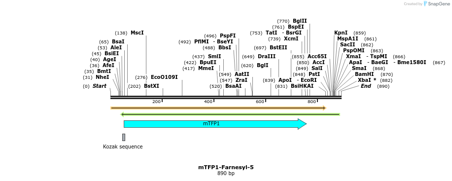 106450_map