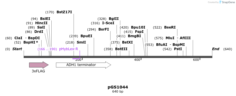 106465_map