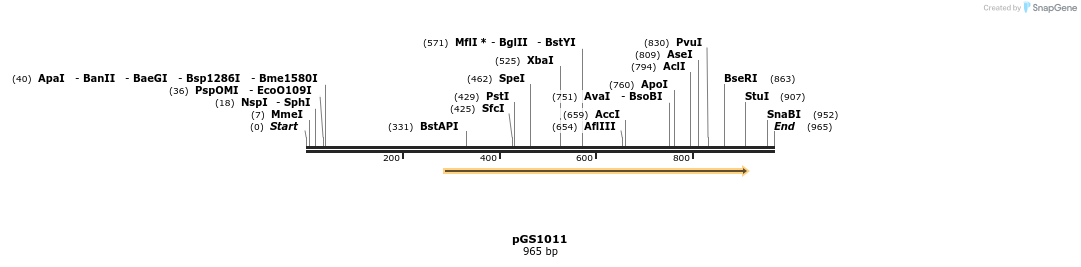 106468_map