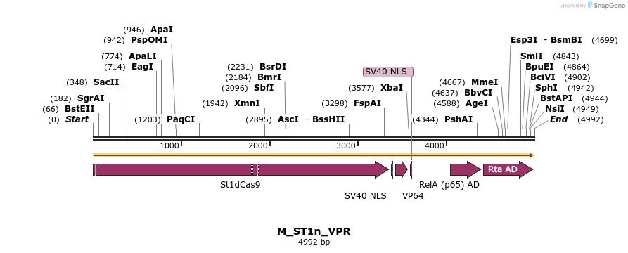 106485_map