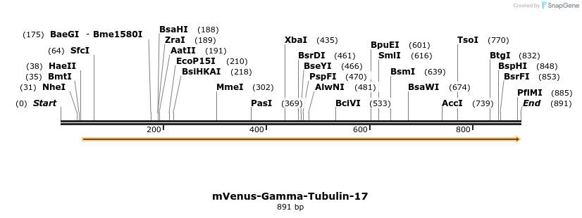 106502_map