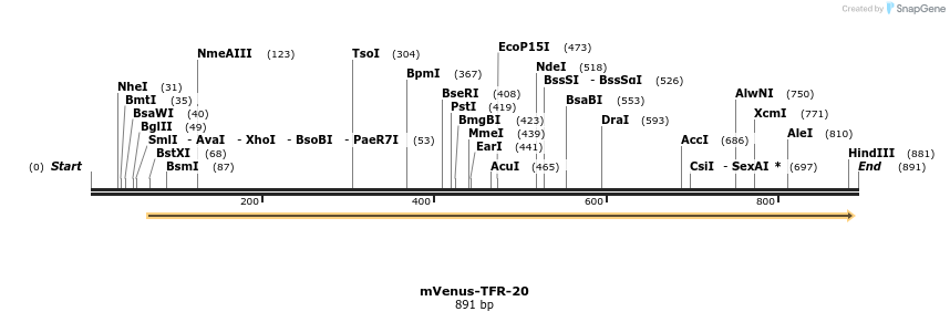 106503_map