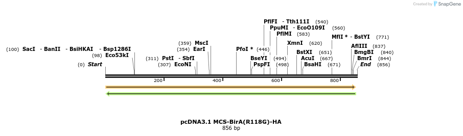 106504_map