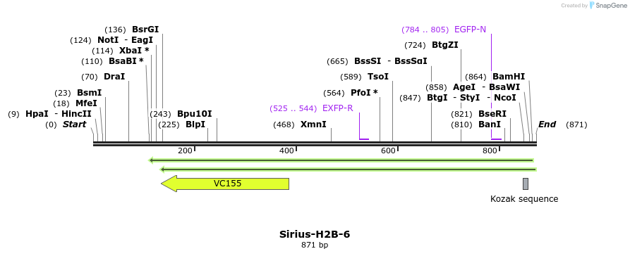 106529_map