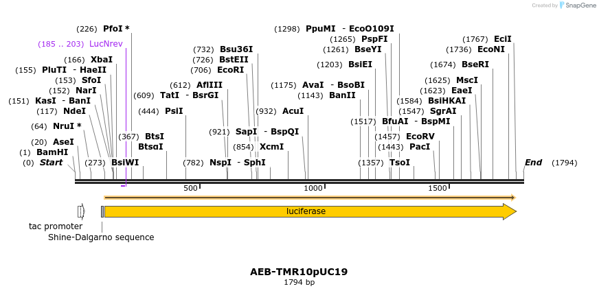 106581_map