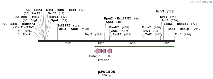 106593_map