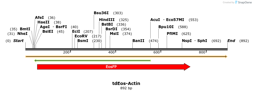 106594_map