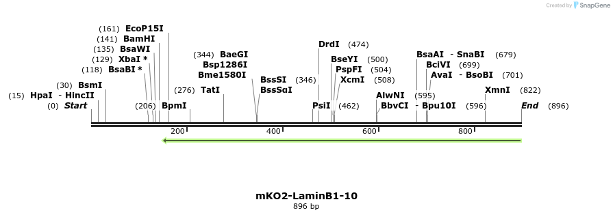 106595_map