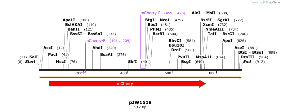 106606_map