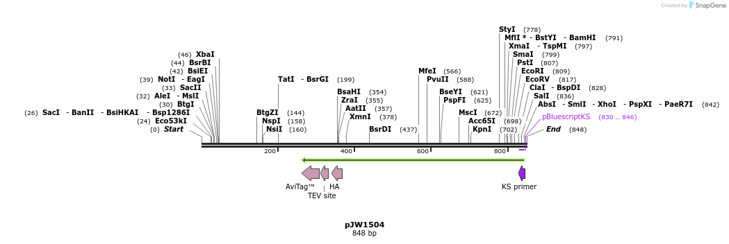 106607_map