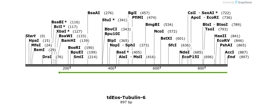 106613_map