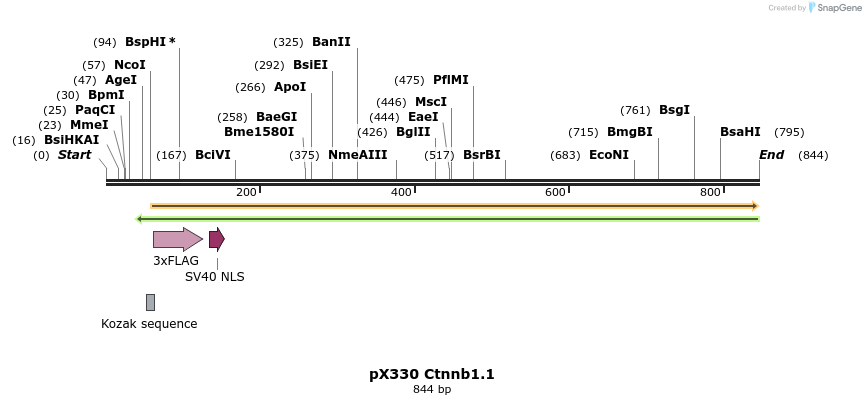 106631_map