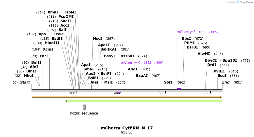 106632_map