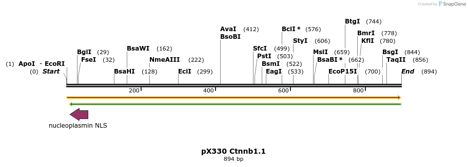 106633_map