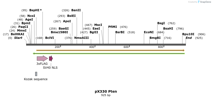 106636_map
