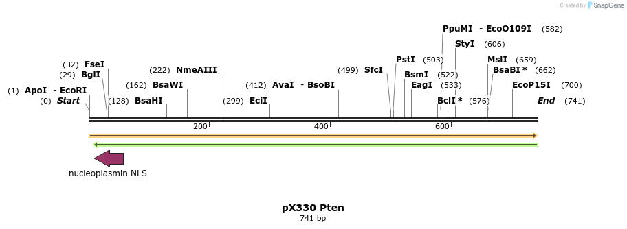 106638_map