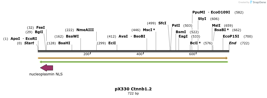 106644_map