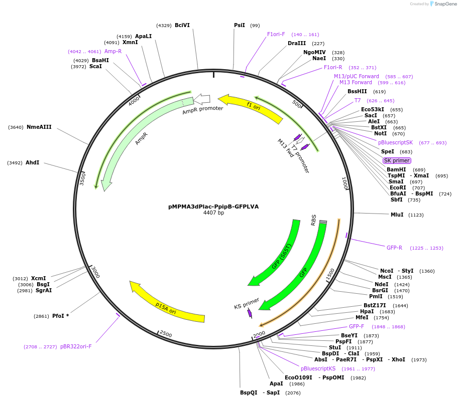 10665_map