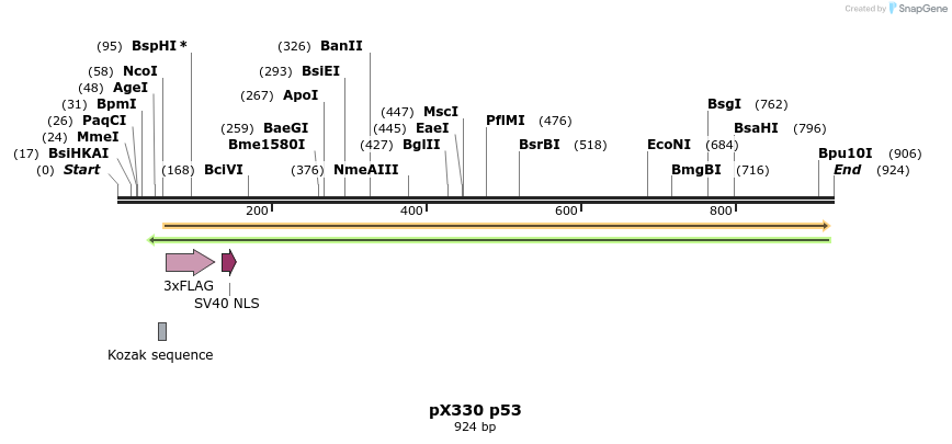 106651_map