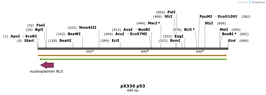 106652_map