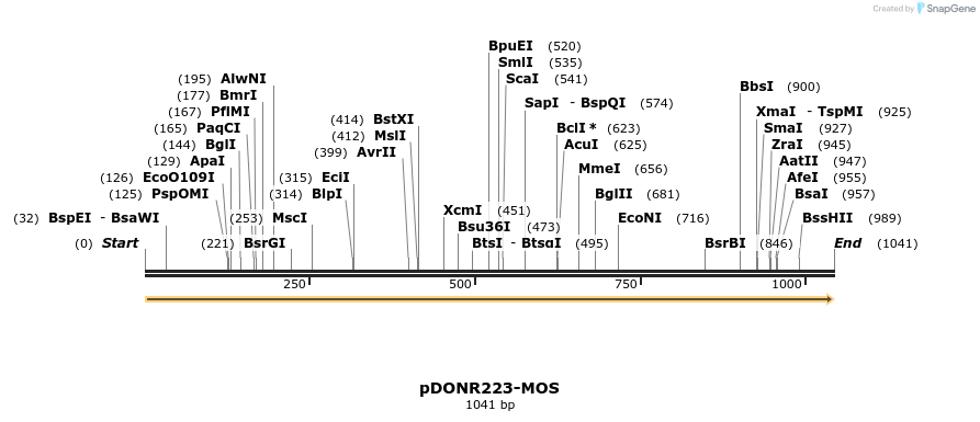 10666_map