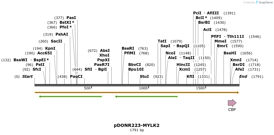 10667_map