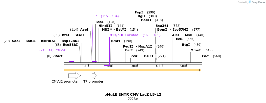 106692_map